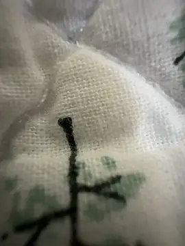 Snapshot of sissyboijamie1313 chatting on 28, 2, 2026 sissyboijamie1313 online show from 28, 2, 2026