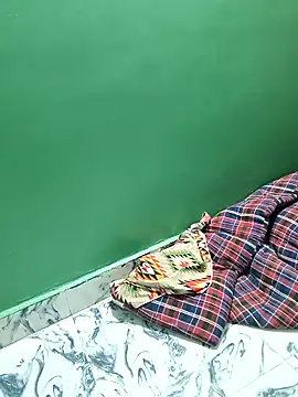 Babybird online show from 8, 3, 2025