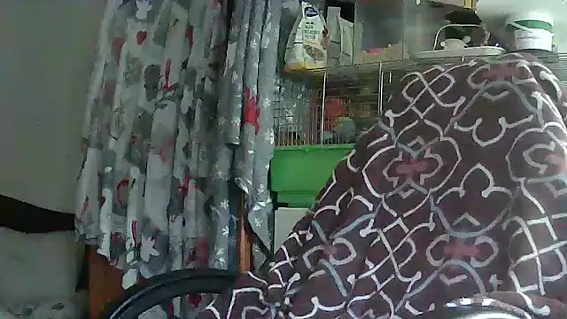 Snapshot of Cicamica12 chatting on 15, 5, 2026 Cicamica12 online show from 15, 5, 2026