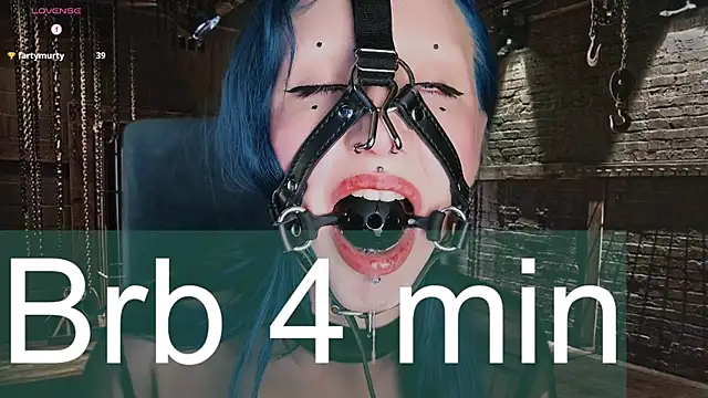 Bibi Iva online show from 31, 7, 2026