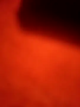 dominationmybigdick online show from 22, 9, 2025