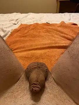 tulich online show from 9, 11, 2025