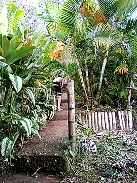 Dracoandr online show from 1, 12, 2025