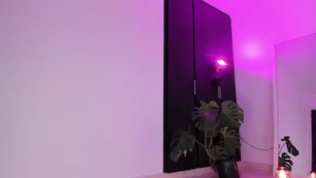 ggor4w33 online show from 21, 2, 2026