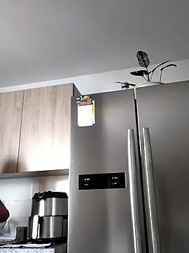 Snapshot of hema_gold chatting on 15, 10, 2025 hema gold online show from 15, 10, 2025