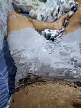 Sexhamza32 online show from 29, 6, 2026