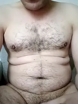 Arabian online show from 1, 2, 2026