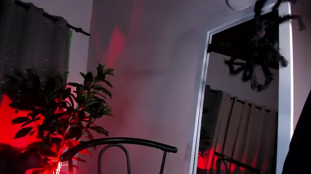 NovaaWheler online show from 20, 10, 2025