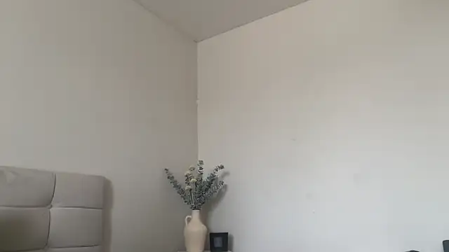 skyejde online show from 13, 3, 2026