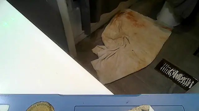 ShysluutGia online show from 23, 4, 2026