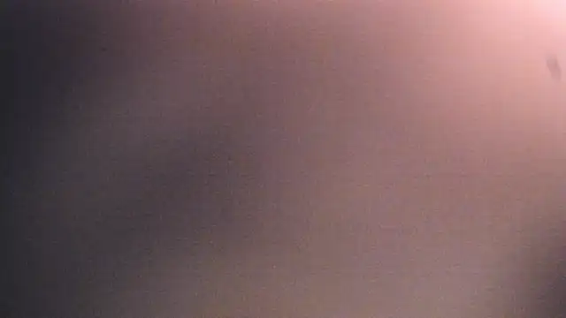 Dhalila  online show from 17, 12, 2025