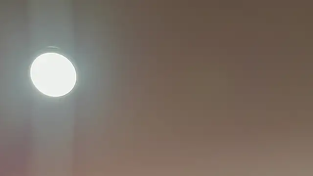 Snapshot of alice_lodge chatting on 22, 3, 2025 alice lodge online show from 22, 3, 2025