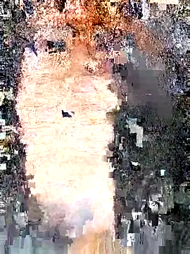 Snapshot of erinadarling79 chatting on 25, 9, 2025 erinadarling79 online show from 25, 9, 2025