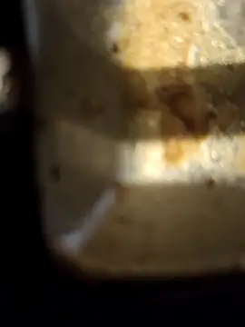 Loly2025 online show from 20, 2, 2025