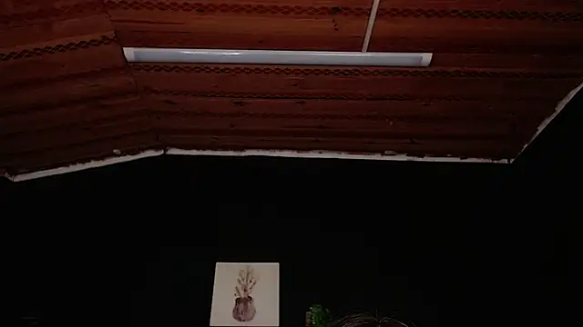 fyreandfox  online show from 18, 11, 2025