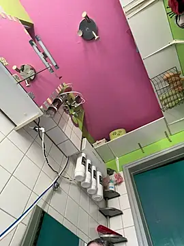 sexymelli18 online show from 23, 4, 2026