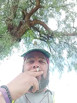 serpensy online show from 3, 6, 2026