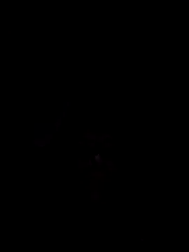 Snapshot of Nidge251 chatting on 4, 11, 2025 Nidge251 online show from 4, 11, 2025