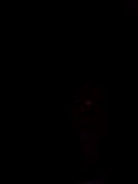 Snapshot of Nidge251 chatting on 7, 3, 2026 Nidge251 online show from 7, 3, 2026