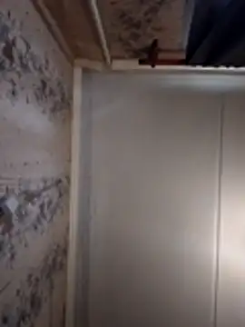 AliniX online show from 7, 3, 2026