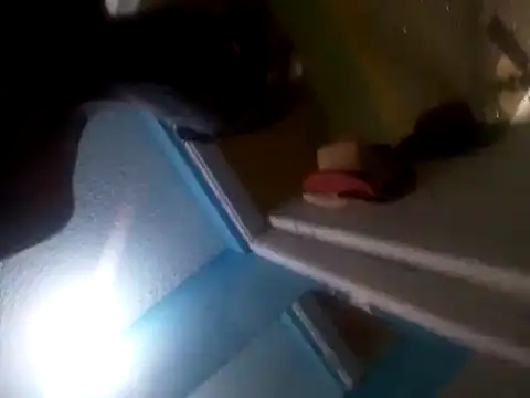 calme odl1 online show from 28, 4, 2026