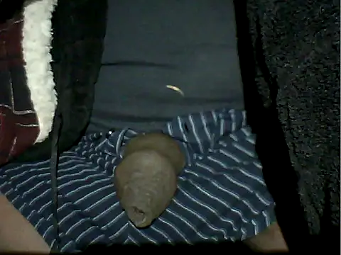 Mthondo-qinile online show from 19, 11, 2025