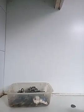 Snapshot of xxTatiannaxx chatting on 28, 2, 2025 xxTatiannaxx online show from 28, 2, 2025