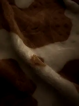 Snapshot of benhadj71 chatting on 4, 4, 2026 benhadj71 online show from 4, 4, 2026