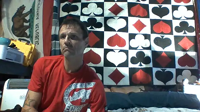 SillyRabbitz online show from 10, 7, 2026