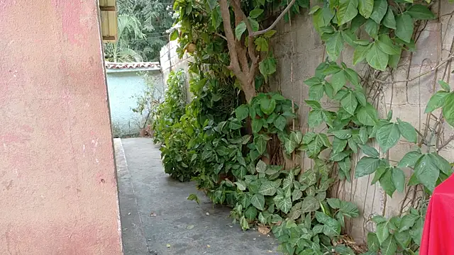 twinks 28 online show from 17, 1, 2026