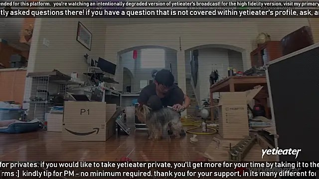 yetieater online show from 13, 2, 2025