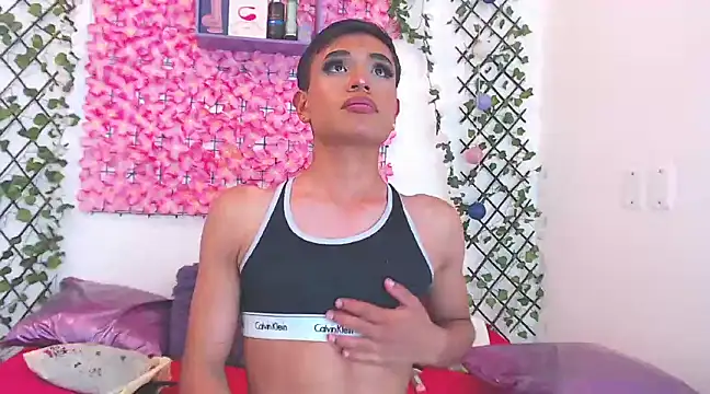 willians   0 online show from 19, 3, 2025