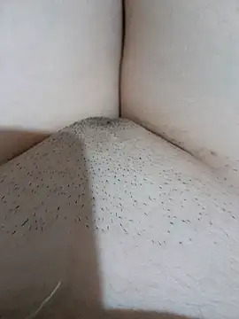 yakot7 online show from 26, 9, 2025