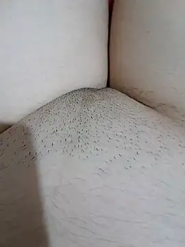 yakot7 online show from 31, 10, 2025