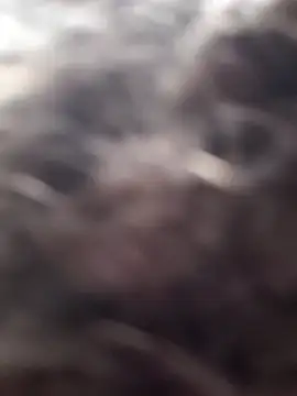 littledick947 online show from 16, 3, 2026