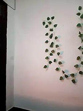 Neha-Bhabhi-Rasily online show from 20, 2, 2026