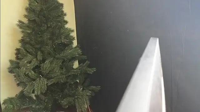 Maya Mayflower online show from 4, 3, 2025