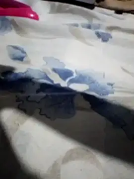 Sandra42 online show from 14, 11, 2025