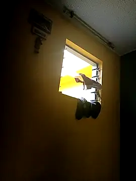 Ariana Rodriguez online show from 6, 10, 2025