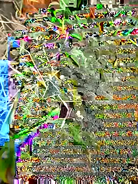 himvilohi08 online show from 27, 9, 2025