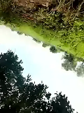 himvilohi08 online show from 4, 10, 2025