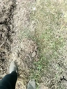 himvilohi08 online show from 18, 1, 2026