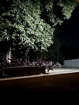 Snapshot of bakedsnackmmh chatting on 19, 2, 2026 bakedsnackmmh online show from 19, 2, 2026