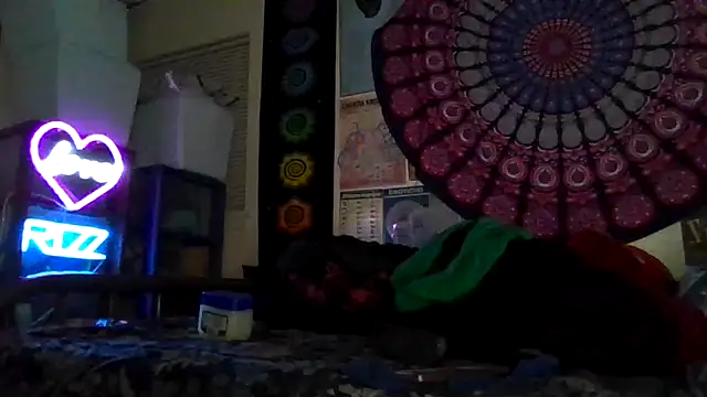 GardeniaFields online show from 4, 3, 2026