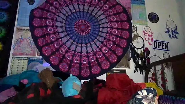 GardeniaFields online show from 24, 4, 2026