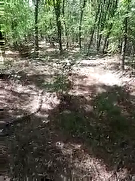 sile47 online show from 13, 9, 2025