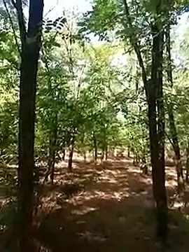 sile47 online show from 16, 9, 2025