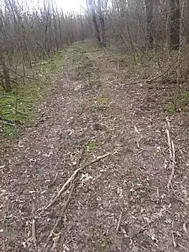 sile47 online show from 16, 3, 2026