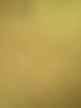 val zx online show from 24, 4, 2026