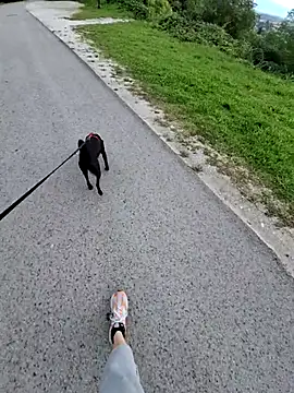 svenpfeifer online show from 16, 9, 2025